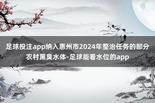 足球投注app纳入惠州市2024年整治任务的部分农村黑臭水体-足球能看水位的app