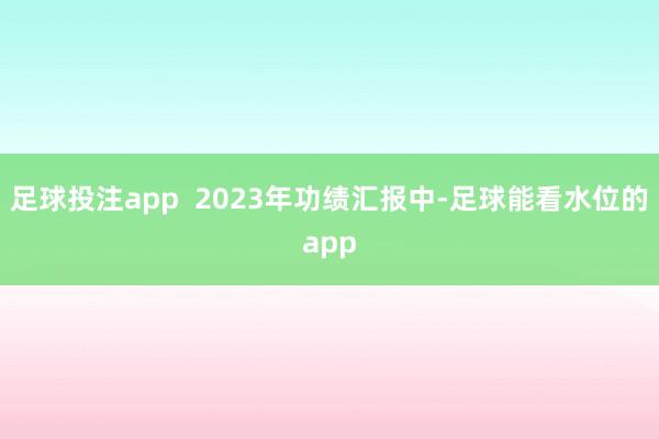 足球投注app  2023年功绩汇报中-足球能看水位的app