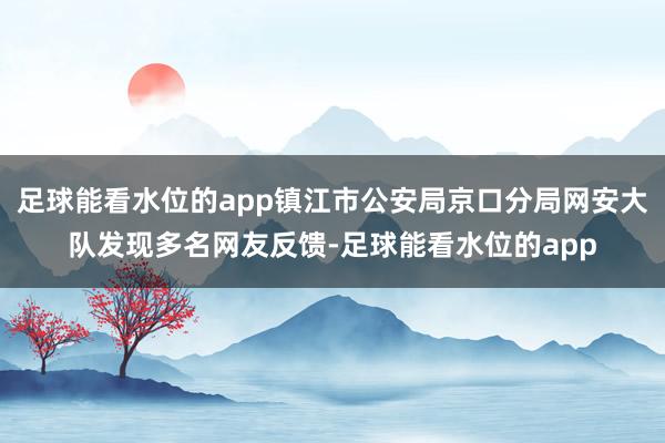 足球能看水位的app镇江市公安局京口分局网安大队发现多名网友反馈-足球能看水位的app