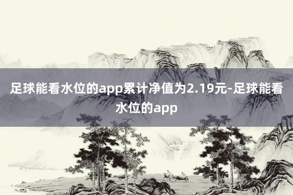 足球能看水位的app累计净值为2.19元-足球能看水位的app