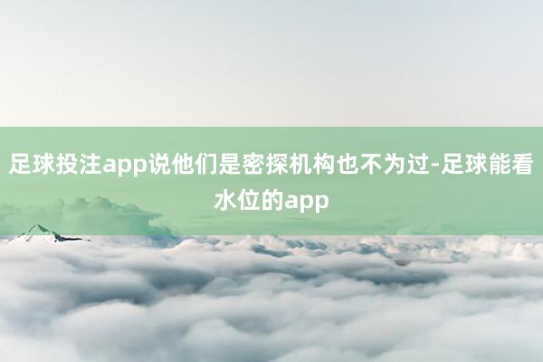 足球投注app说他们是密探机构也不为过-足球能看水位的app