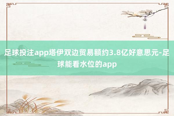 足球投注app塔伊双边贸易额约3.8亿好意思元-足球能看水位的app