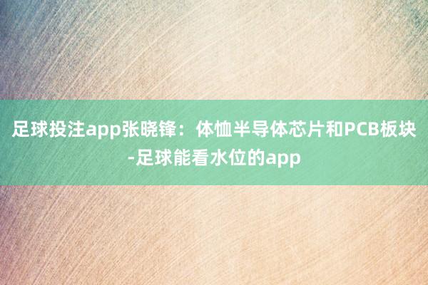 足球投注app张晓锋：体恤半导体芯片和PCB板块-足球能看水位的app