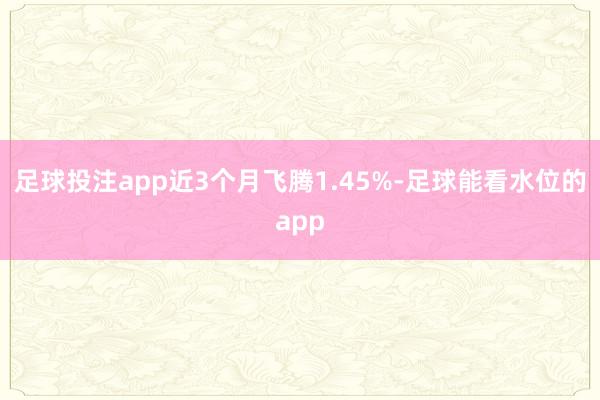 足球投注app近3个月飞腾1.45%-足球能看水位的app