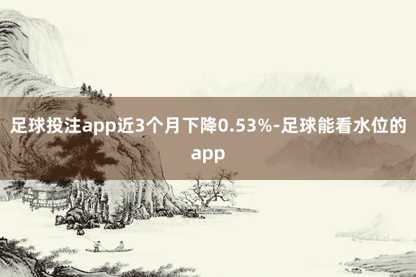 足球投注app近3个月下降0.53%-足球能看水位的app