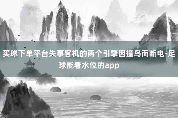 买球下单平台失事客机的两个引擎因撞鸟而断电-足球能看水位的app