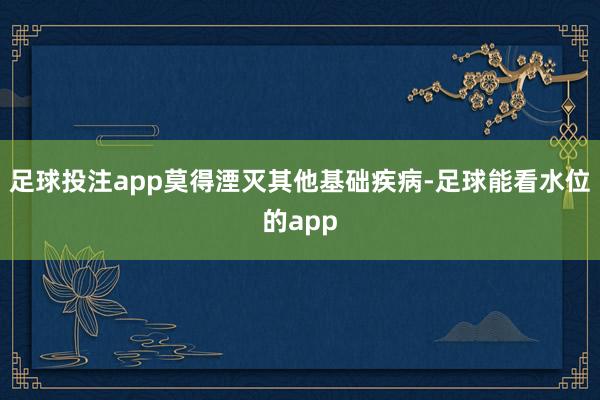 足球投注app莫得湮灭其他基础疾病-足球能看水位的app