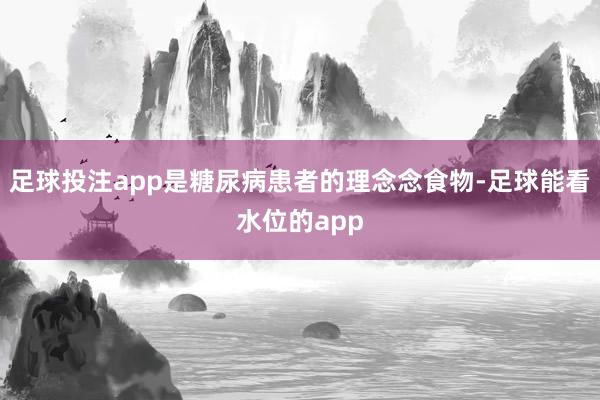 足球投注app是糖尿病患者的理念念食物-足球能看水位的app