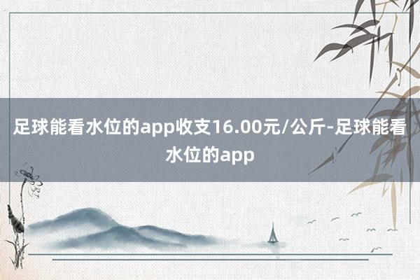 足球能看水位的app收支16.00元/公斤-足球能看水位的app