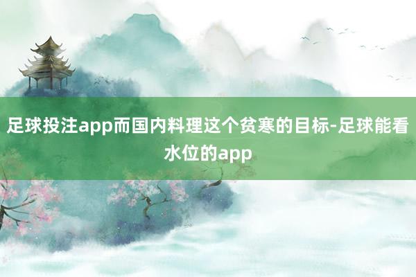 足球投注app而国内料理这个贫寒的目标-足球能看水位的app