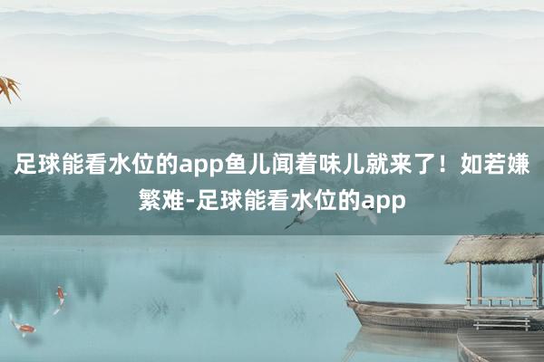 足球能看水位的app鱼儿闻着味儿就来了！如若嫌繁难-足球能看水位的app