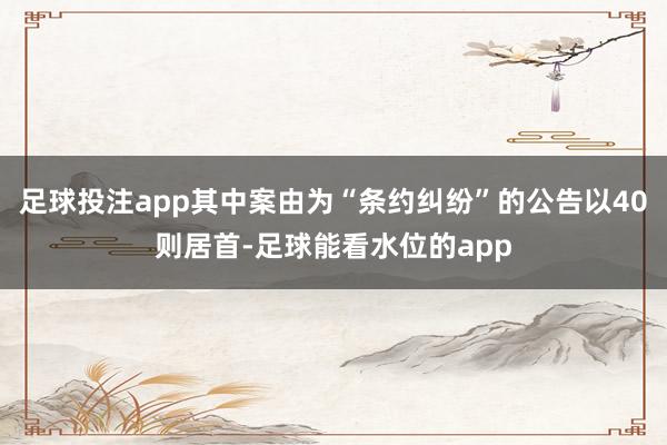 足球投注app其中案由为“条约纠纷”的公告以40则居首-足球能看水位的app