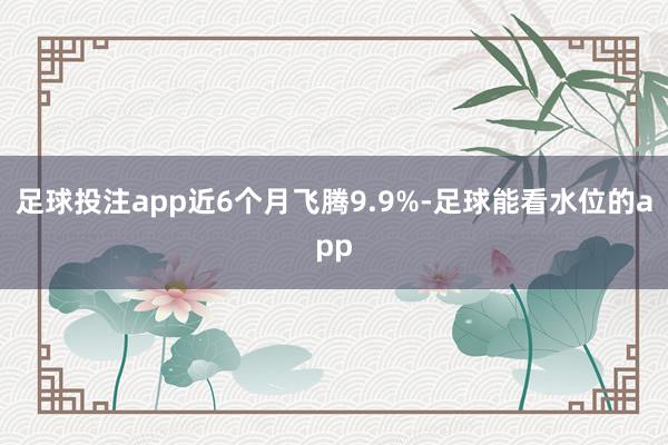 足球投注app近6个月飞腾9.9%-足球能看水位的app