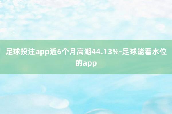 足球投注app近6个月高潮44.13%-足球能看水位的app