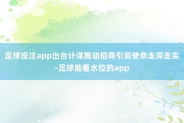 足球投注app出台计谋推动招商引资使命走深走实-足球能看水位的app