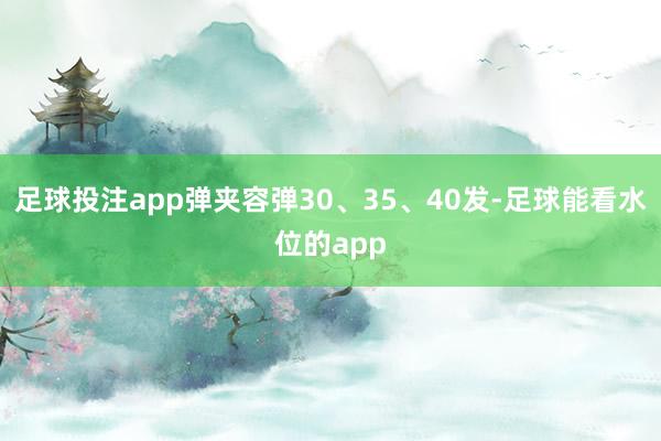 足球投注app弹夹容弹30、35、40发-足球能看水位的app