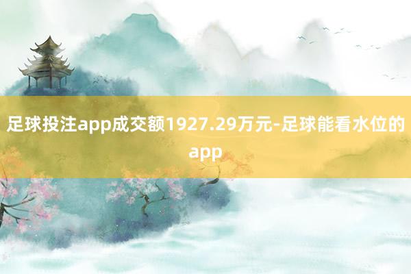 足球投注app成交额1927.29万元-足球能看水位的app