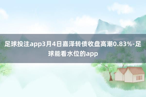 足球投注app3月4日嘉泽转债收盘高潮0.83%-足球能看水位的app