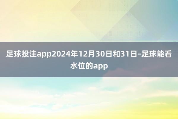 足球投注app2024年12月30日和31日-足球能看水位的app