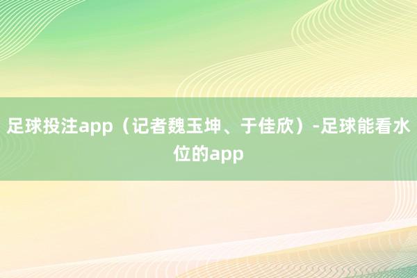 足球投注app（记者魏玉坤、于佳欣）-足球能看水位的app