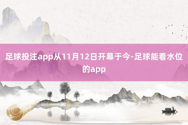 足球投注app从11月12日开幕于今-足球能看水位的app