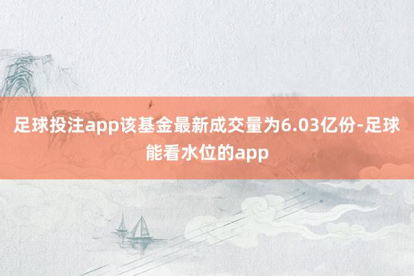 足球投注app该基金最新成交量为6.03亿份-足球能看水位的app