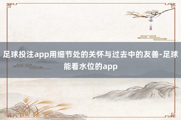 足球投注app用细节处的关怀与过去中的友善-足球能看水位的app