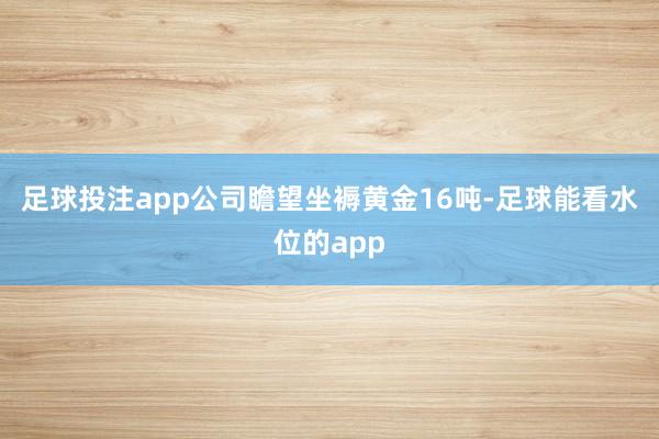 足球投注app公司瞻望坐褥黄金16吨-足球能看水位的app