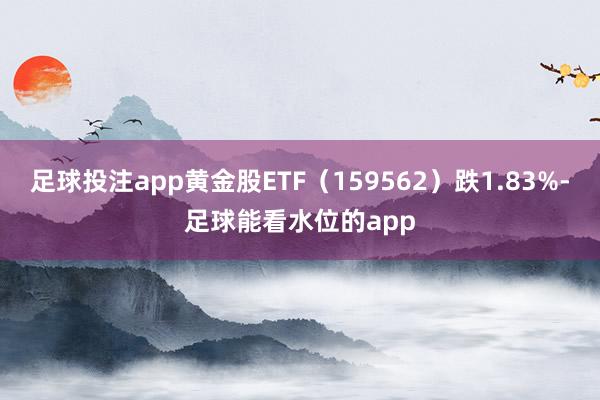 足球投注app黄金股ETF(159562)跌1.83%-足球能看水位的app
