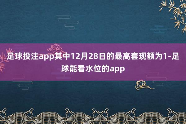 足球投注app其中12月28日的最高套现额为1-足球能看水位的app