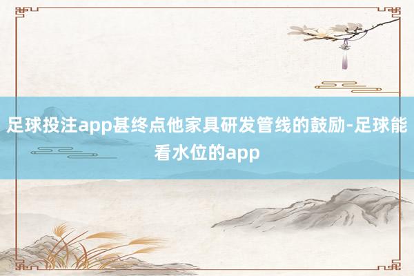 足球投注app甚终点他家具研发管线的鼓励-足球能看水位的app