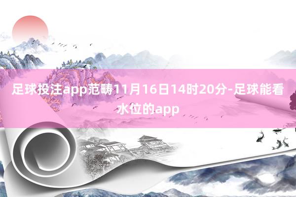 足球投注app范畴11月16日14时20分-足球能看水位的app