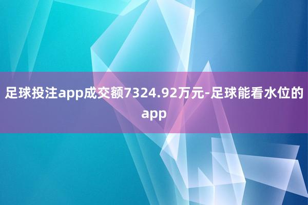 足球投注app成交额7324.92万元-足球能看水位的app