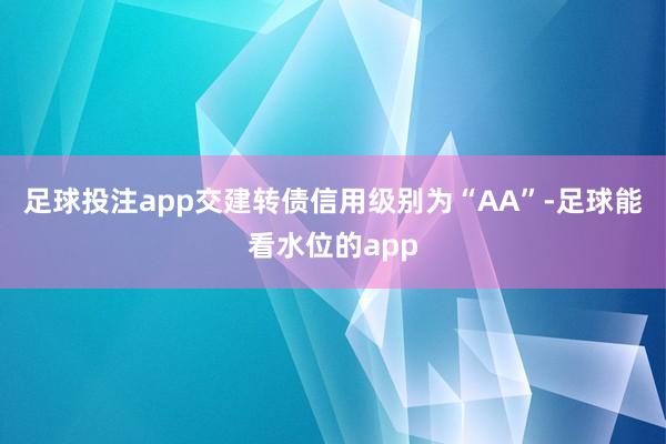 足球投注app交建转债信用级别为“AA”-足球能看水位的app