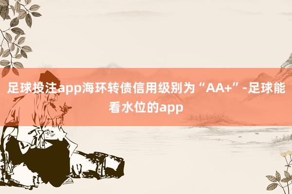 足球投注app海环转债信用级别为“AA+”-足球能看水位的app