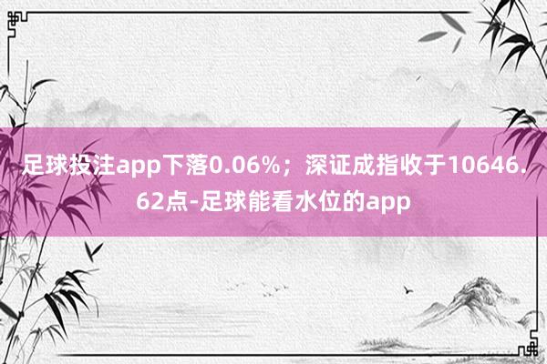 足球投注app下落0.06%;深证成指收于10646.62点-足球能看水位的app