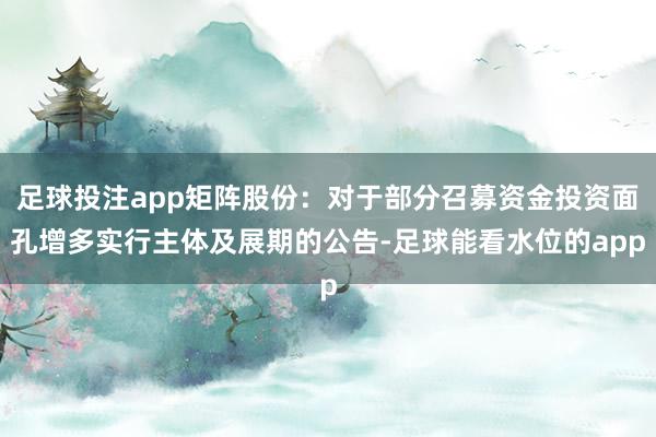 足球投注app矩阵股份:对于部分召募资金投资面孔增多实行主体及展期的公告-足球能看水位的app