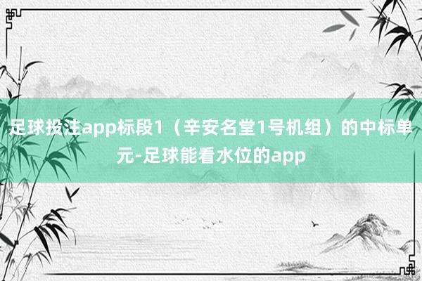 足球投注app标段1(辛安名堂1号机组)的中标单元-足球能看水位的app