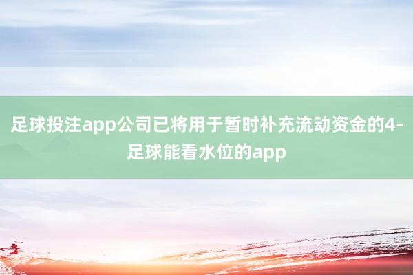 足球投注app公司已将用于暂时补充流动资金的4-足球能看水位的app