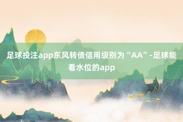 足球投注app东风转债信用级别为“AA”-足球能看水位的app