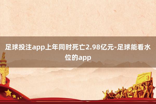 足球投注app上年同时死亡2.98亿元-足球能看水位的app