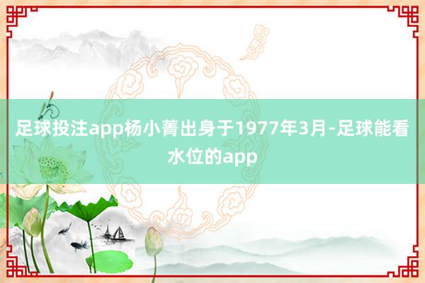 足球投注app杨小菁出身于1977年3月-足球能看水位的app