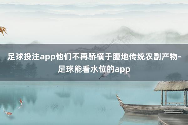足球投注app他们不再骄横于腹地传统农副产物-足球能看水位的app